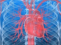 Herzrhythmusstörung
